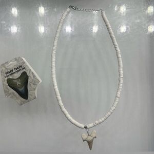 White Shark Tooth Pendant Necklace